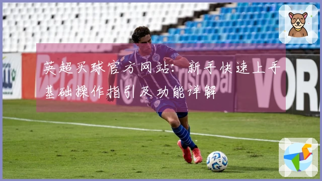 英超买球官方网站：新手快速上手基础操作指引及功能详解