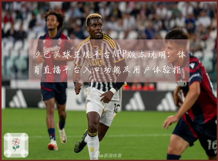 沙巴买球正规平台APP版本说明：体育直播平台入口功能及用户体验指引