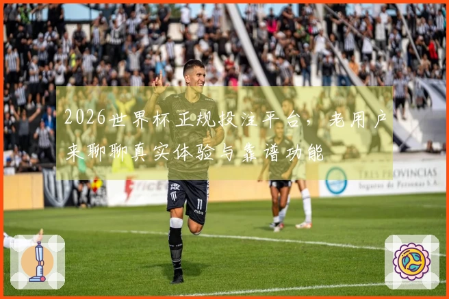 2026世界杯正规投注平台，老用户来聊聊真实体验与靠谱功能