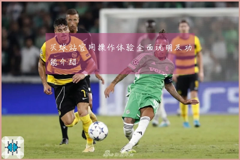 买球站官网操作体验全面说明及功能介绍