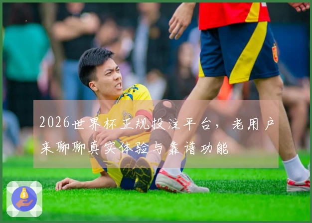 2026世界杯正规投注平台，老用户来聊聊真实体验与靠谱功能