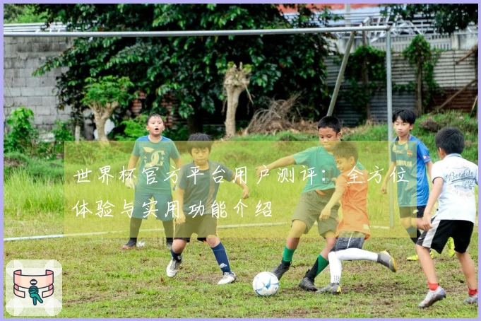 世界杯官方平台用户测评：全方位体验与实用功能介绍