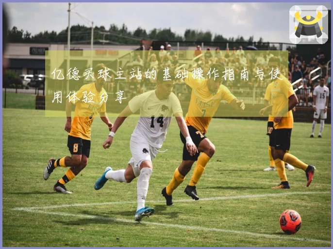 亿德买球主站的基础操作指南与使用体验分享