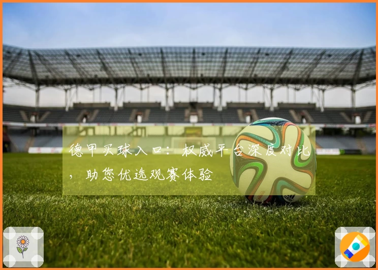 德甲买球入口：权威平台深度对比，助您优选观赛体验
