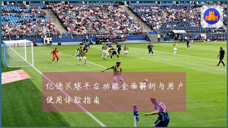 亿德买球平台功能全面解析与用户使用体验指南