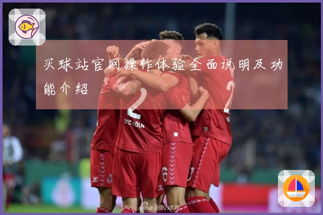 买球站官网操作体验全面说明及功能介绍